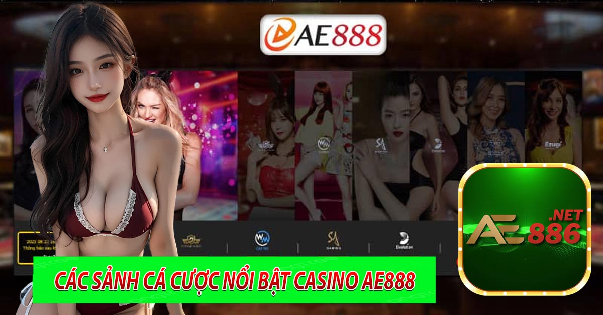 Các sảnh cá cược nổi bật Casino AE888